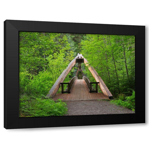 Washington State-Central Cascades Footbridge-over Middle Fork Snoqualmie River Black Modern Wood Framed Art Print by Wild, Jamie and Judy