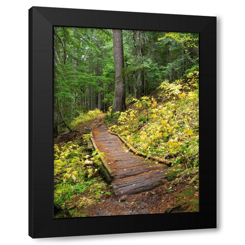 Washington State-Central Cascades Trail to Olallie Lake-old wooden section Black Modern Wood Framed Art Print with Double Matting by Wild, Jamie and Judy