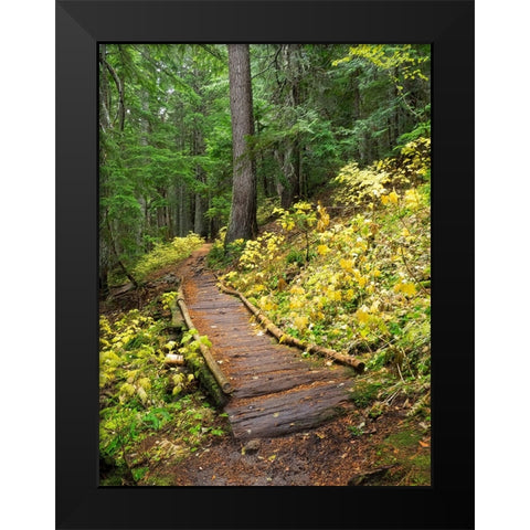Washington State-Central Cascades Trail to Olallie Lake-old wooden section Black Modern Wood Framed Art Print by Wild, Jamie and Judy