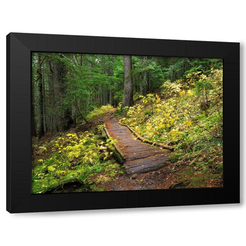 Washington State-Central Cascades Trail to Olallie Lake-old wooden section Black Modern Wood Framed Art Print with Double Matting by Wild, Jamie and Judy