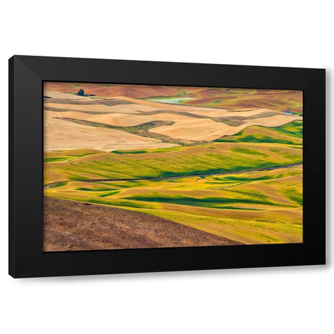 Landscape of rolling wheat field-Palouse-Washington State-USA Black Modern Wood Framed Art Print by Su, Keren