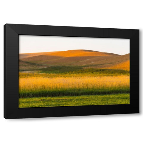Sunset view of wheat field-Palouse-Washington State-USA Black Modern Wood Framed Art Print with Double Matting by Su, Keren