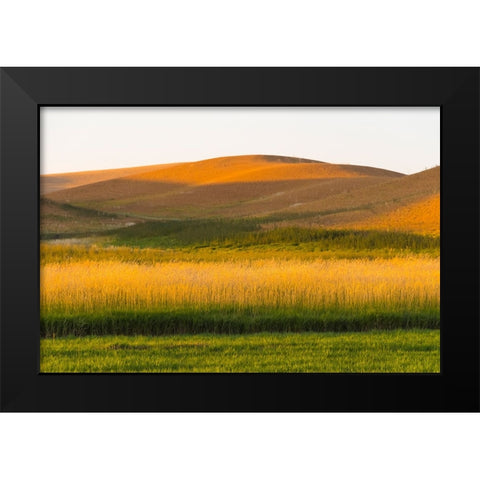 Sunset view of wheat field-Palouse-Washington State-USA Black Modern Wood Framed Art Print by Su, Keren