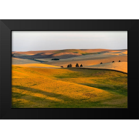 Landscape of rolling wheat field at sunrise-Palouse-Washington State-USA Black Modern Wood Framed Art Print by Su, Keren