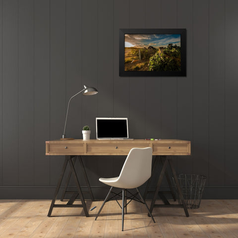 Morning light on rows of merlot Black Modern Wood Framed Art Print by Duval, Richard