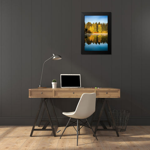 Washington State-Cle Elum Fall color by a pond in Central Washington Black Modern Wood Framed Art Print by Duval, Richard