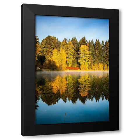Washington State-Cle Elum Fall color by a pond in Central Washington Black Modern Wood Framed Art Print by Duval, Richard