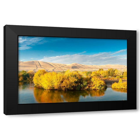 Washington State-Yakima Valley Fall colors are reflected in the Yakima River Black Modern Wood Framed Art Print by Duval, Richard