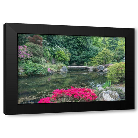 Washington State-Seattle Kubota Garden Black Modern Wood Framed Art Print with Double Matting by Tilley, Rob