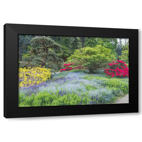 Washington State-Seattle Kubota Garden Black Modern Wood Framed Art Print by Tilley, Rob