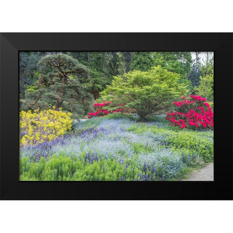 Washington State-Seattle Kubota Garden Black Modern Wood Framed Art Print by Tilley, Rob