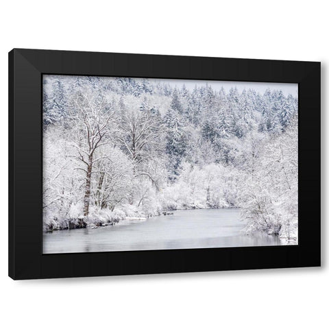 Washington State-Fall City and the Snoqualmie river with winter fresh snow fall Black Modern Wood Framed Art Print with Double Matting by Gulin, Sylvia