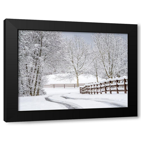 Washington State-Fall City-fresh snow on trees and fence and snow covered road Black Modern Wood Framed Art Print by Gulin, Sylvia