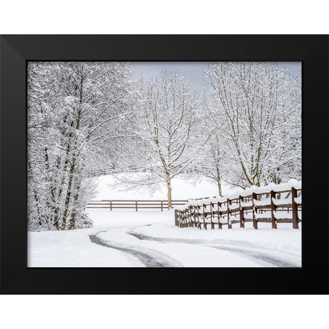 Washington State-Fall City-fresh snow on trees and fence and snow covered road Black Modern Wood Framed Art Print by Gulin, Sylvia
