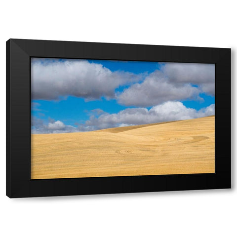 Washington State-Eastern Washington-Palouse Black Modern Wood Framed Art Print by Gulin, Sylvia