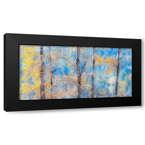 Washington State-Preston with Cottonwood trees springtime leafing out Black Modern Wood Framed Art Print by Gulin, Sylvia