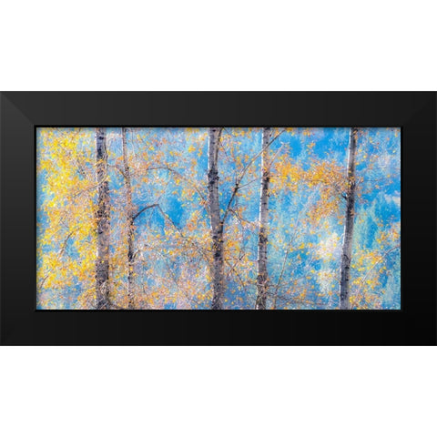 Washington State-Preston with Cottonwood trees springtime leafing out Black Modern Wood Framed Art Print by Gulin, Sylvia