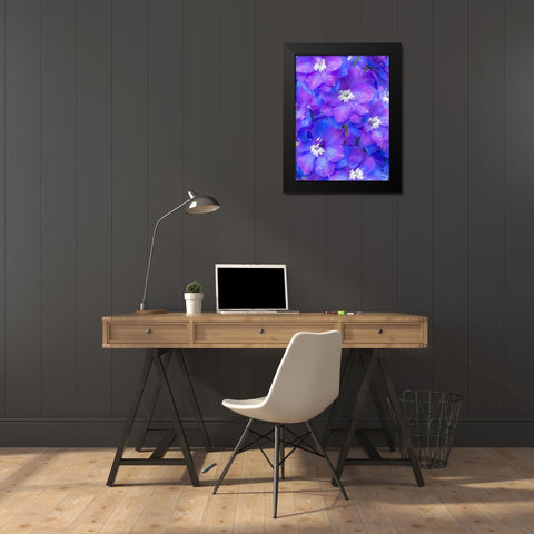 Washington State-Sammamish close up image of a blue delphinium Black Modern Wood Framed Art Print by Gulin, Sylvia