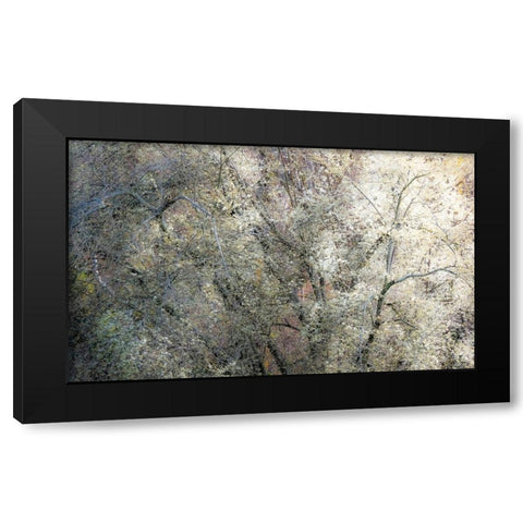 USA-Washington State-Fall City wild cherry springtime blooming Black Modern Wood Framed Art Print with Double Matting by Gulin, Sylvia