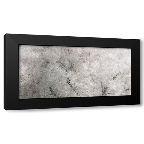 USA-Washington State-Fall City wild cherry springtime blooming Black Modern Wood Framed Art Print by Gulin, Sylvia