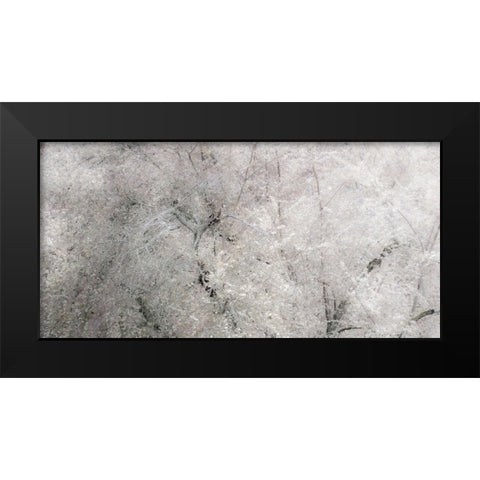 USA-Washington State-Fall City wild cherry springtime blooming Black Modern Wood Framed Art Print by Gulin, Sylvia