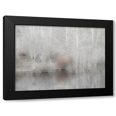 USA-Washington State-Sammamish springtime and alder trees and their reflections in small pond Black Modern Wood Framed Art Print with Double Matting by Gulin, Sylvia
