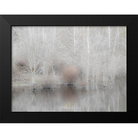 USA-Washington State-Sammamish springtime and alder trees and their reflections in small pond Black Modern Wood Framed Art Print by Gulin, Sylvia