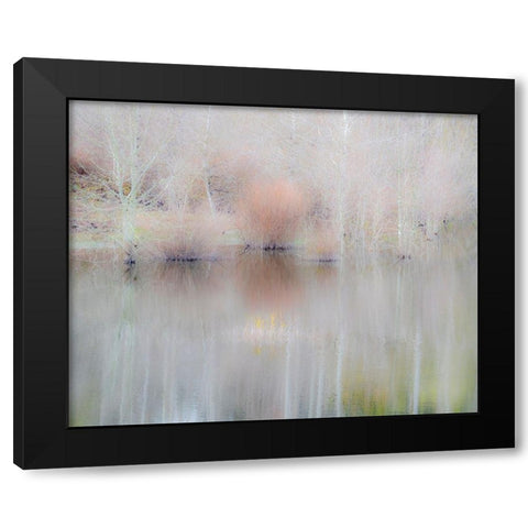 USA-Washington State-Sammamish springtime and alder trees and their reflections in small pond Black Modern Wood Framed Art Print with Double Matting by Gulin, Sylvia
