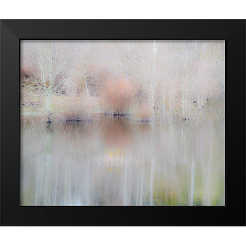 USA-Washington State-Sammamish springtime and alder trees and their reflections in small pond Black Modern Wood Framed Art Print by Gulin, Sylvia