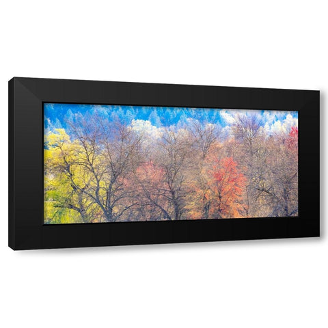 USA-Washington State-Fall City-Pacific Northwest early spring cottonwood Black Modern Wood Framed Art Print with Double Matting by Gulin, Sylvia