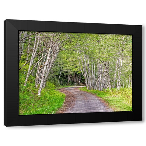 USA-Washington State-Old Cascade Highway off of Highway 2 Black Modern Wood Framed Art Print with Double Matting by Gulin, Sylvia