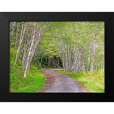 USA-Washington State-Old Cascade Highway off of Highway 2 Black Modern Wood Framed Art Print by Gulin, Sylvia