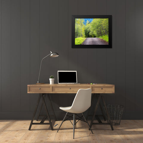 USA-Washington State-Old Cascade Highway off of Highway 2 Black Modern Wood Framed Art Print by Gulin, Sylvia