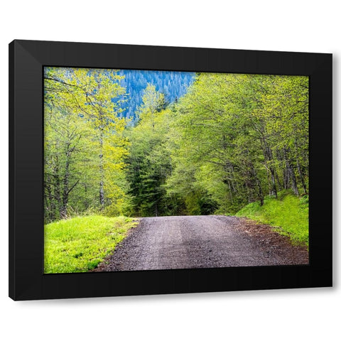 USA-Washington State-Old Cascade Highway off of Highway 2 Black Modern Wood Framed Art Print by Gulin, Sylvia