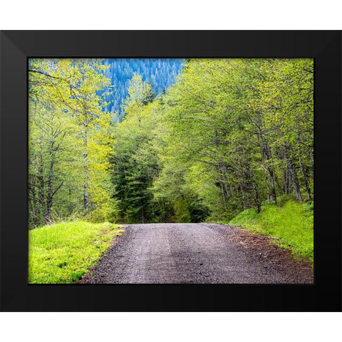 USA-Washington State-Old Cascade Highway off of Highway 2 Black Modern Wood Framed Art Print by Gulin, Sylvia