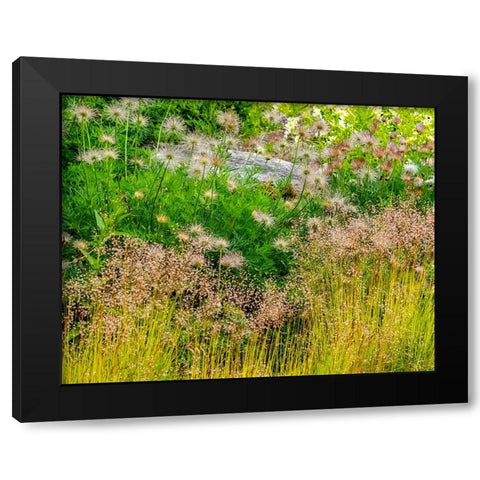 USA-Washington State-Pacific Northwest-Bellevue and the Bellevue Botanical Gardens springtime Black Modern Wood Framed Art Print with Double Matting by Gulin, Sylvia