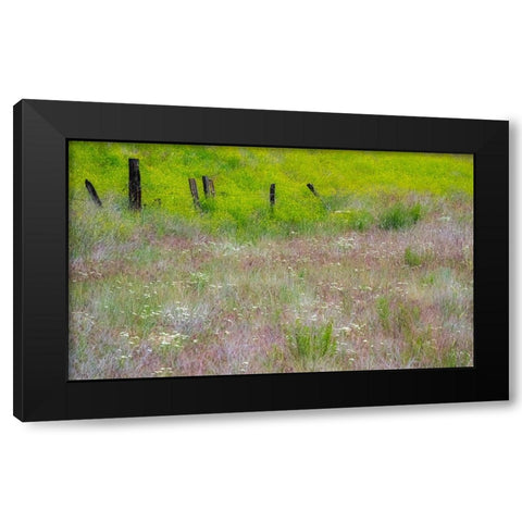 USA-Washington State-Benge Wooden post fence and grasses on rolling hills Black Modern Wood Framed Art Print with Double Matting by Gulin, Sylvia