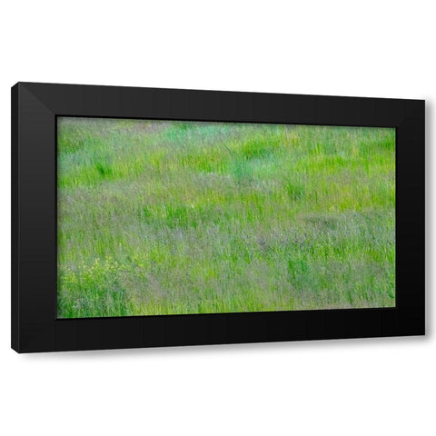 USA-Washington State-Palouse-Eastern Washington Green grass field Black Modern Wood Framed Art Print with Double Matting by Gulin, Sylvia
