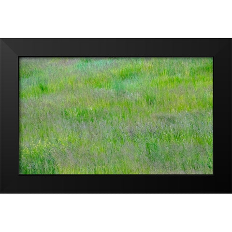 USA-Washington State-Palouse-Eastern Washington Green grass field Black Modern Wood Framed Art Print by Gulin, Sylvia