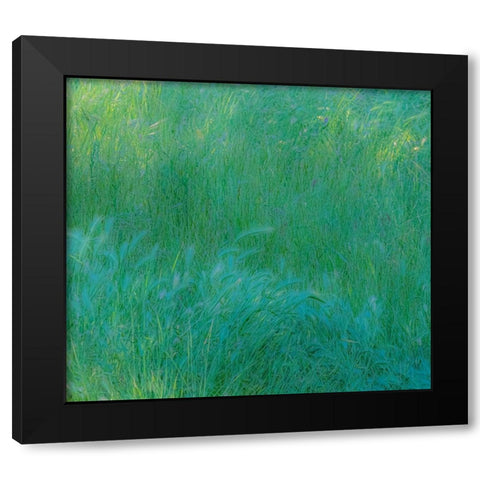 USA-Washington State-Palouse with hillside planted in grass Black Modern Wood Framed Art Print with Double Matting by Gulin, Sylvia