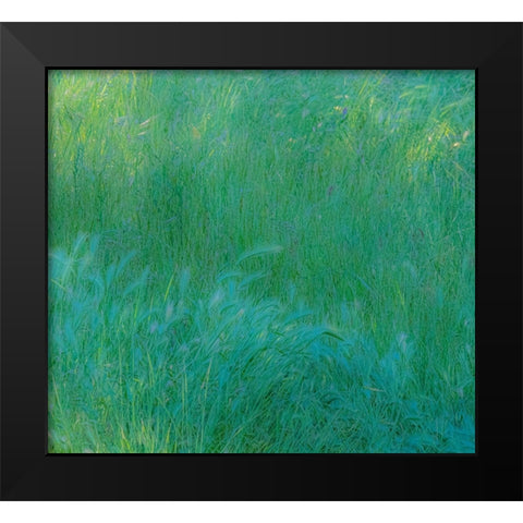 USA-Washington State-Palouse with hillside planted in grass Black Modern Wood Framed Art Print by Gulin, Sylvia