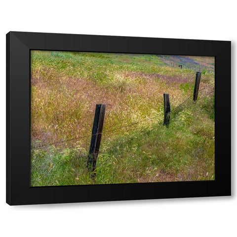 USA-Washington State-Palouse with wooden fence posts in grass field Black Modern Wood Framed Art Print with Double Matting by Gulin, Sylvia