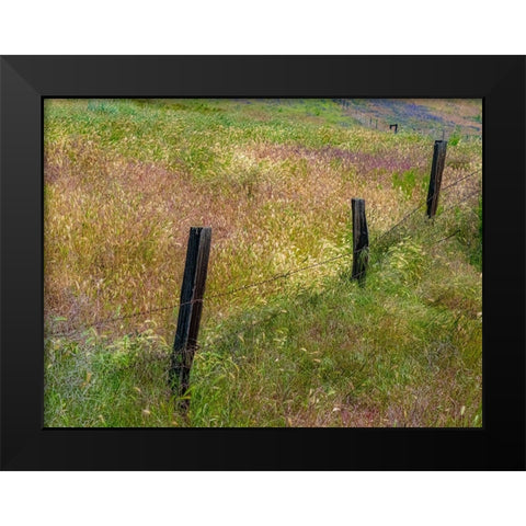 USA-Washington State-Palouse with wooden fence posts in grass field Black Modern Wood Framed Art Print by Gulin, Sylvia