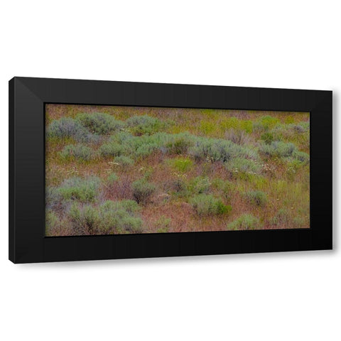 USA-Washington State-Palouse-Colfax and field of sagebrush Black Modern Wood Framed Art Print with Double Matting by Gulin, Sylvia