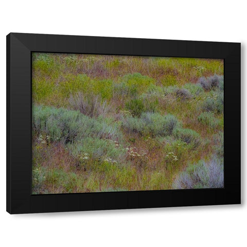 USA-Washington State-Palouse-Colfax and field of sagebrush Black Modern Wood Framed Art Print with Double Matting by Gulin, Sylvia