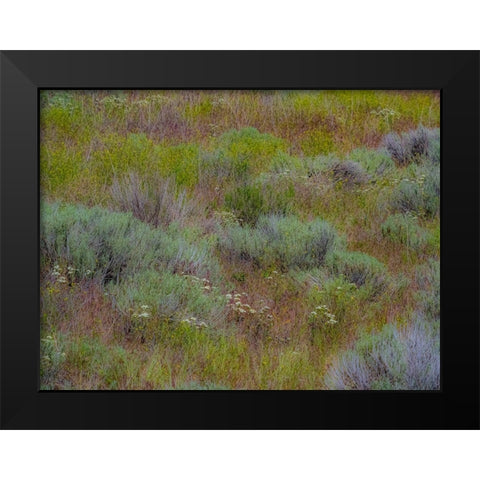 USA-Washington State-Palouse-Colfax and field of sagebrush Black Modern Wood Framed Art Print by Gulin, Sylvia