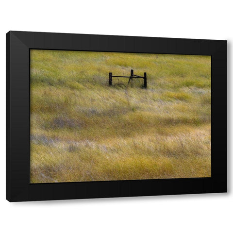 USA-Washington State-Palouse with wooden fence posts in grass field Black Modern Wood Framed Art Print with Double Matting by Gulin, Sylvia