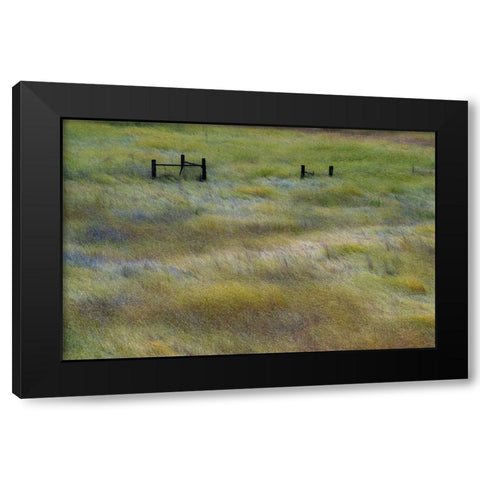 USA-Washington State-Palouse with wooden fence posts in grass field Black Modern Wood Framed Art Print with Double Matting by Gulin, Sylvia