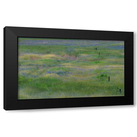 USA-Washington State-Benge Purple vetch in field Black Modern Wood Framed Art Print by Gulin, Sylvia