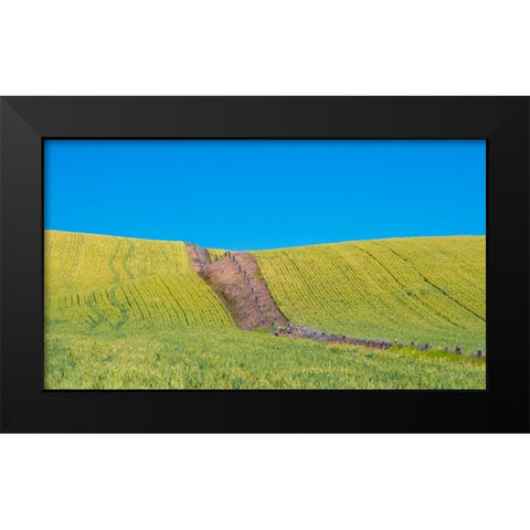 USA-Washington State-Winona winter wheat with fence line running through middle of field Black Modern Wood Framed Art Print by Gulin, Sylvia